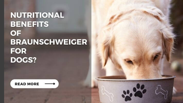 Nutritional Benefits of braunschweiger for  Dogs