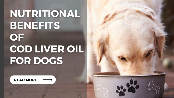 Nutritional Benefits of cod liver oil for  Dogs