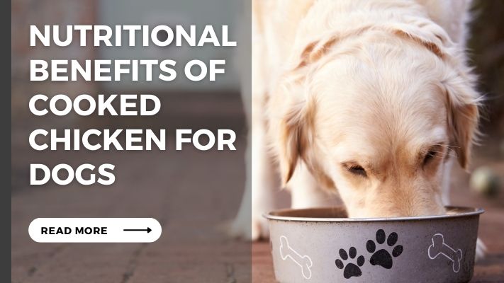 Nutritional Benefits of cooked chicken for Dogs