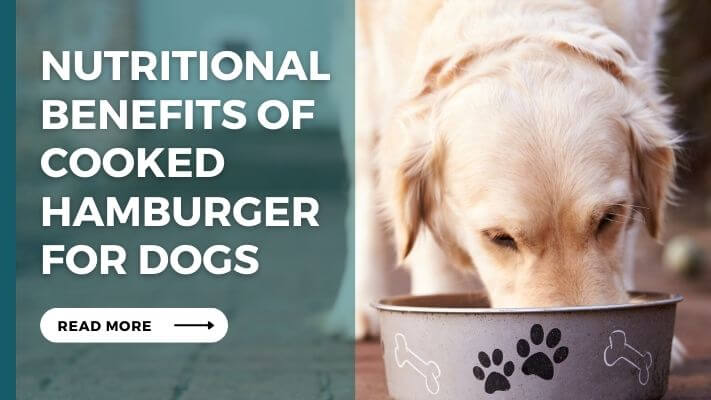 Nutritional Benefits of cooked hamburger for Dogs