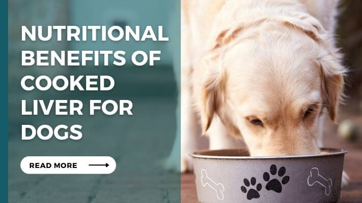 Nutritional Benefits of cooked liver for Dogs