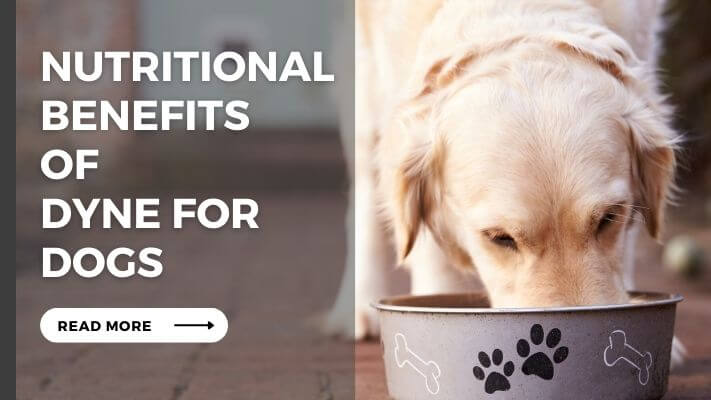 Nutritional Benefits of dyne for Dogs