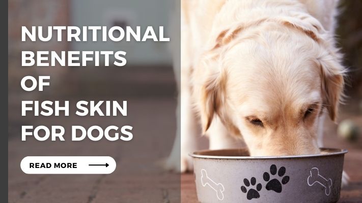 Nutritional Benefits of fish skin for Dogs