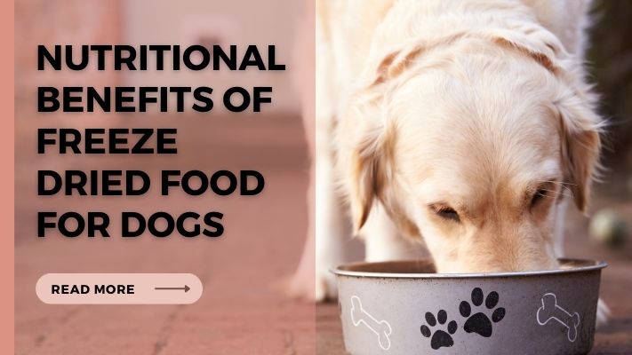 Nutritional Benefits of freeze dried food for Dogs