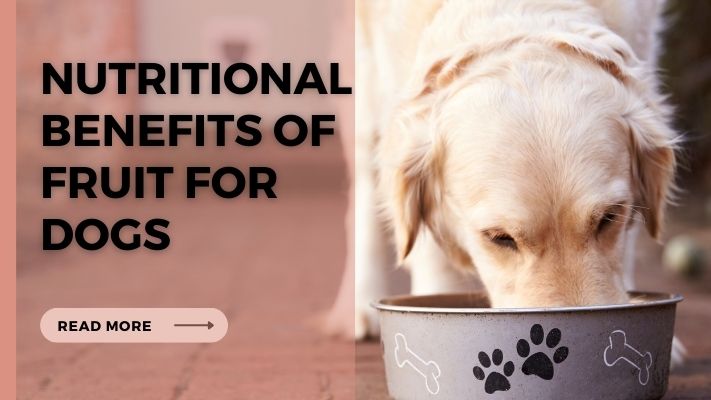 Nutritional Benefits of fruit for Dogs