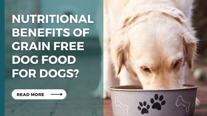 Nutritional Benefits of grain free dog food for Dogs