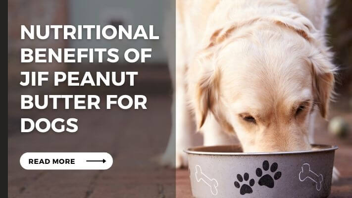 Nutritional Benefits of jif peanut butter for Dogs