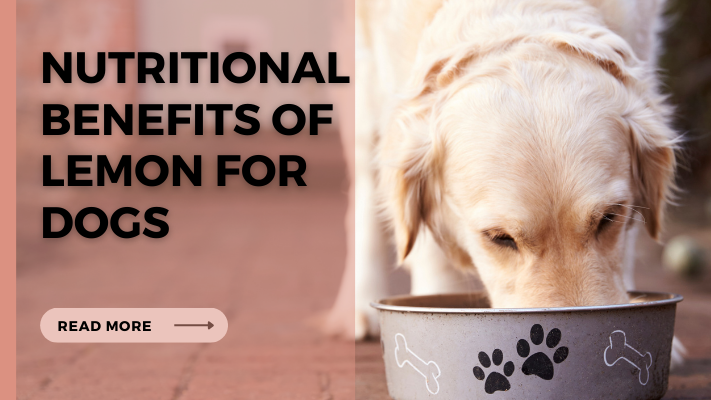 Nutritional Benefits of lemon for Dogs