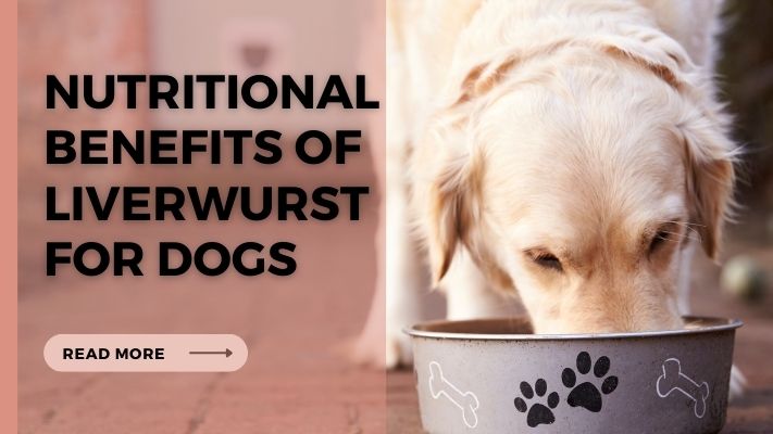 Nutritional Benefits of liverwurst for Dogs