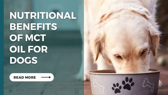 Nutritional Benefits of mct oil for Dogs