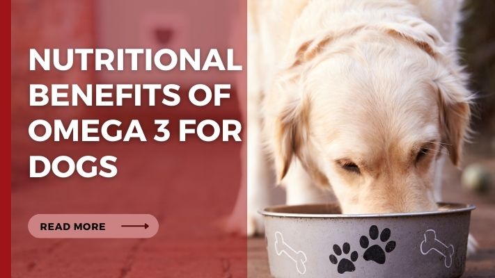 Nutritional Benefits of omega 3 for Dogs