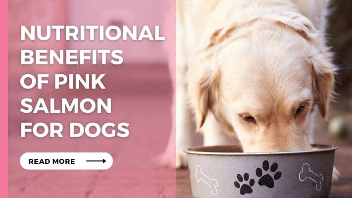 Nutritional Benefits of Pink Salmon for Dogs