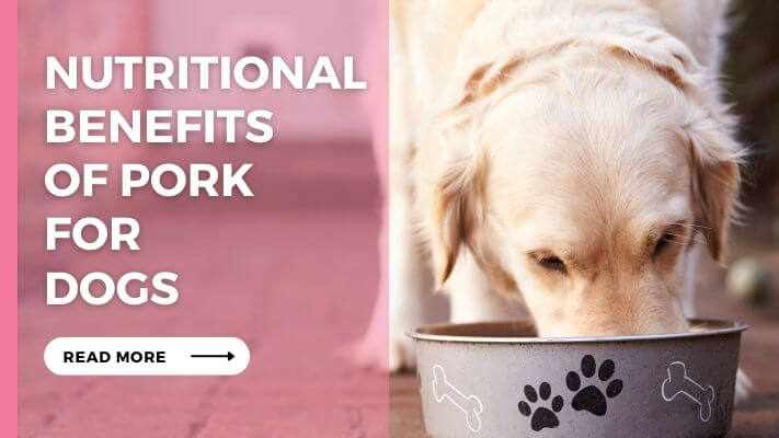 Nutritional Benefits of Pork for Dogs