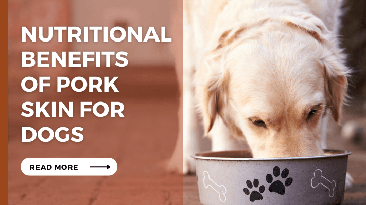 Nutritional Benefits of Pork Skin for Dogs