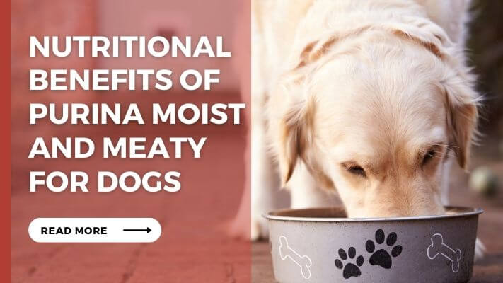 Nutritional Benefits of Purina Moist and Meaty for Dogs