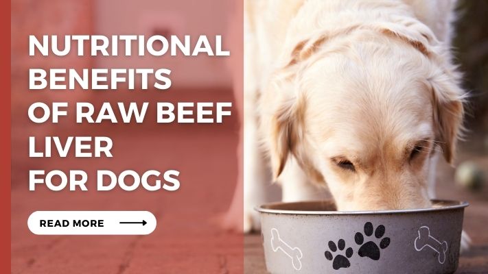 Nutritional Benefits  of raw beef liver  for Dogs