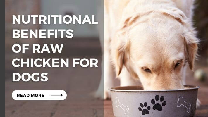 Nutritional Benefits of raw chicken for Dogs