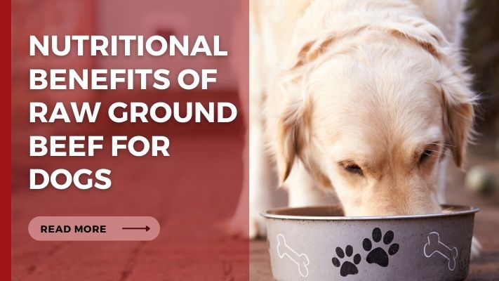 Nutritional Benefits of raw ground beef for Dogs