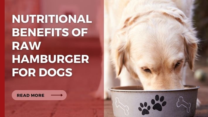 Nutritional Benefits of raw hamburger for Dogs