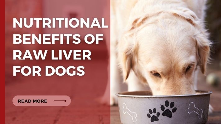 Nutritional Benefits of raw liver for Dogs