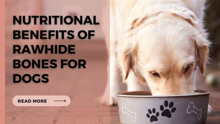 Nutritional Benefits of rawhide bones for Dogs