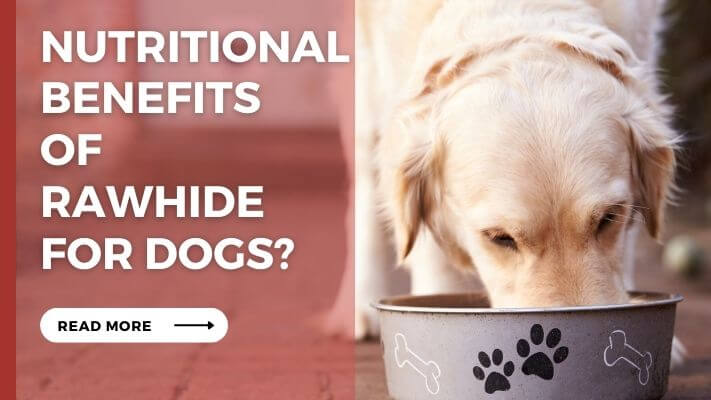 Nutritional Benefits of rawhide for Dogs