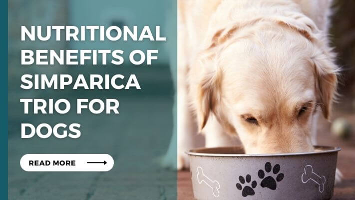 Nutritional Benefits of Simparica Trio for Dogs