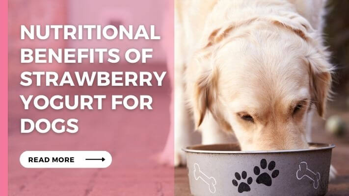 Nutritional Benefits of Strawberry Yogurt for Dogs