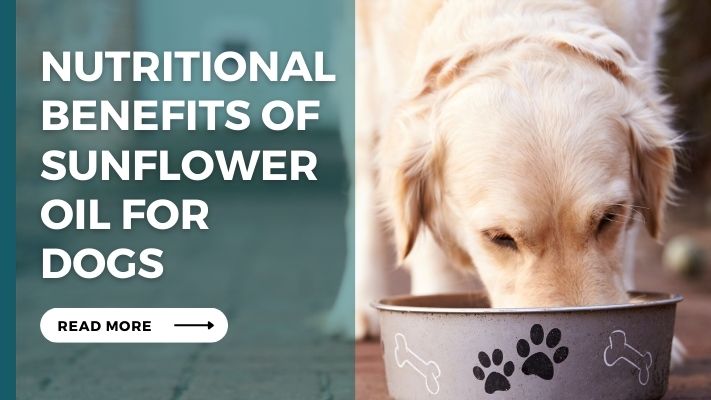 Nutritional Benefits of Sunflower Oil for Dogs