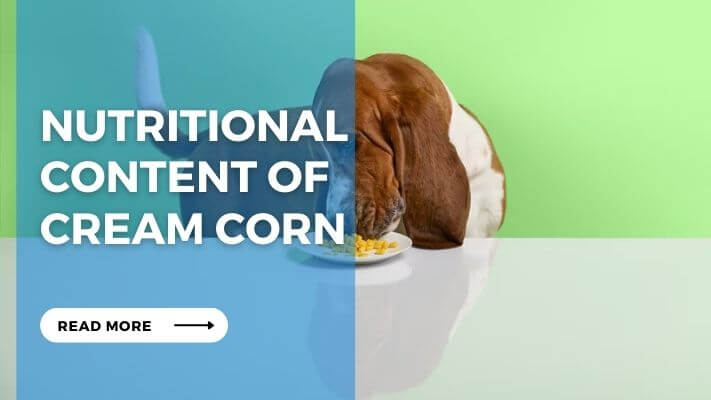 Nutritional Content of Cream Corn