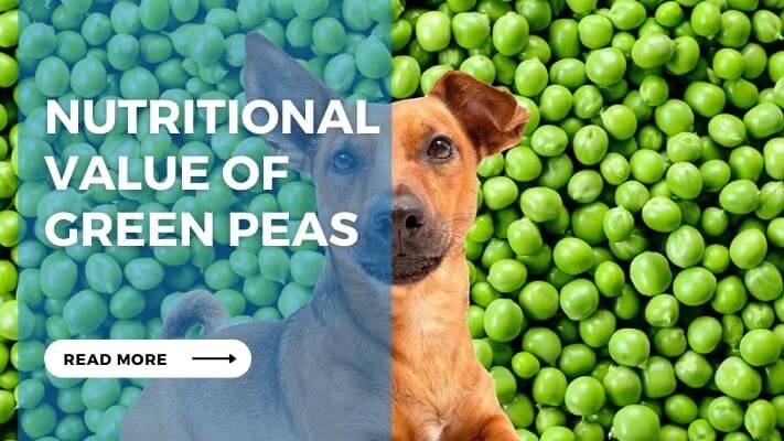 Nutritional Value of Green Peas