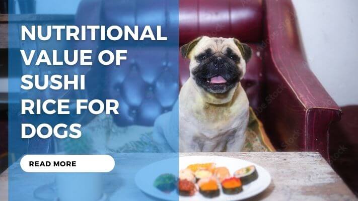 Nutritional Value of Sushi Rice for Dogs