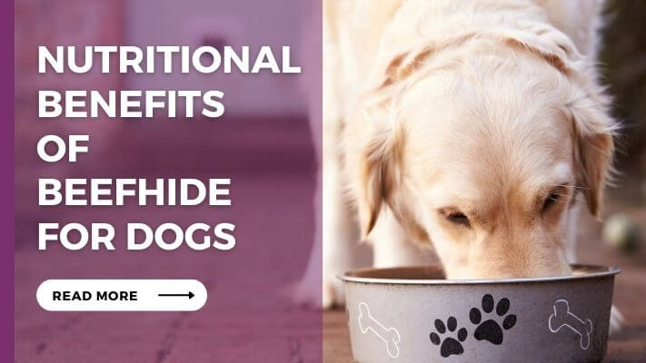 Nutritional-benefits-of-Beefhide-for-Dogs