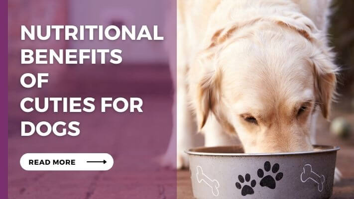 Nutritional-benefits-of-Cuties-for-Dogs