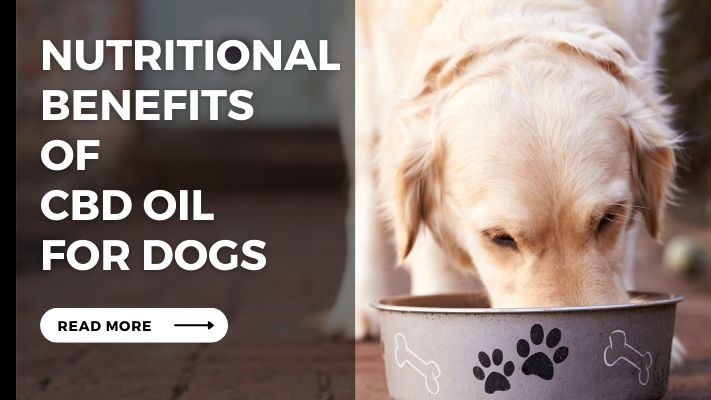 Nutritional_Benefits_of_Cbd_Oil_for_Dogs