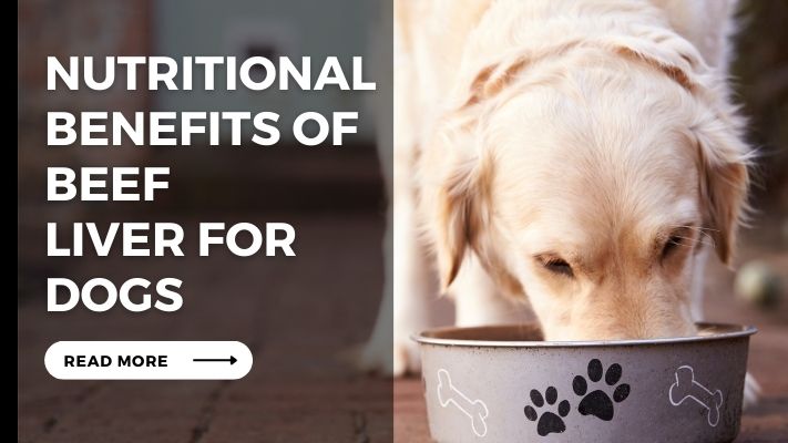 Nutritional Benefits of beef liver for Dogs