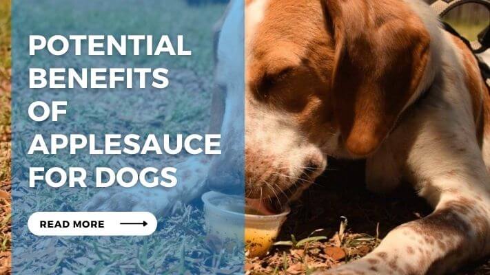 Potential Benefits of Applesauce for Dogs