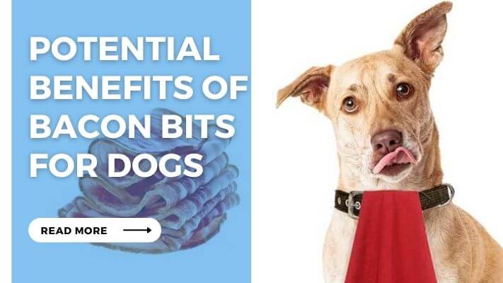 Potential Benefits of Bacon Bits for Dogs