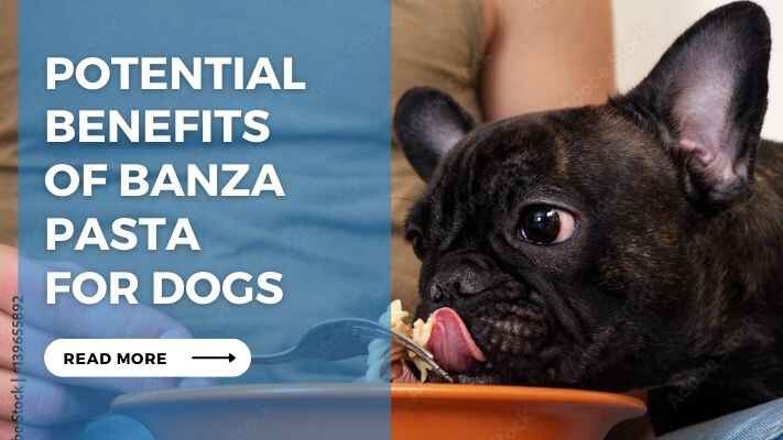 Potential Benefits of Banza Pasta for Dogs