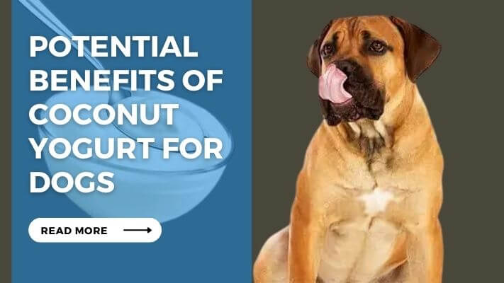 Potential Benefits of Coconut Yogurt for Dogs