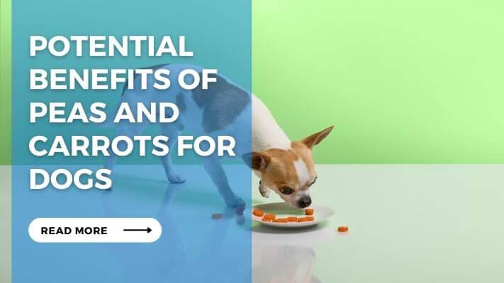 Potential Benefits of Peas and Carrots for Dogs