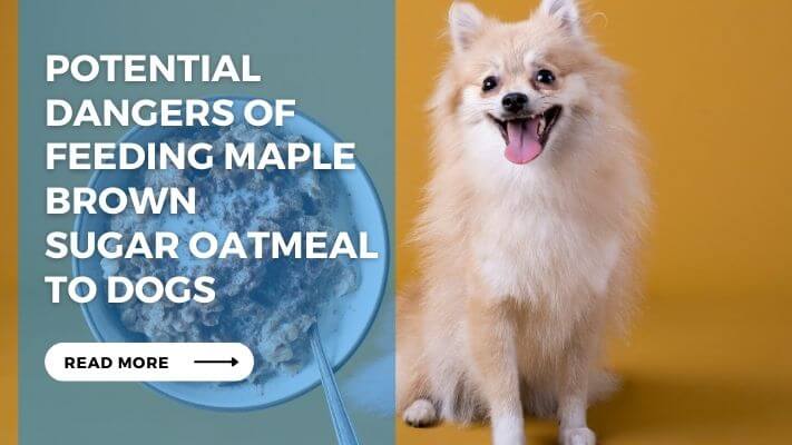 Potential Dangers of Feeding Maple Brown Sugar Oatmeal to Dogs