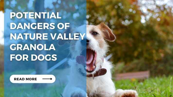 Potential Dangers of Nature Valley Granola for Dogs