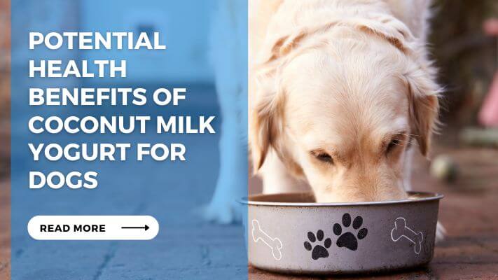 Potential Health Benefits of Coconut Milk Yogurt for Dogs