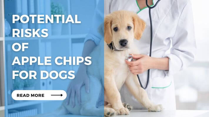 Potential Risks of Apple Chips for Dogs