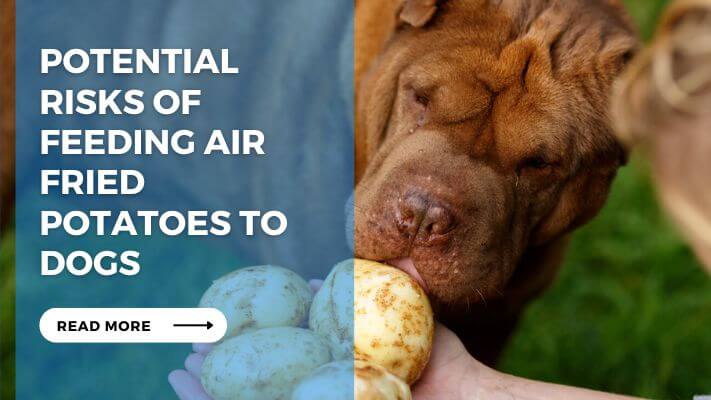 Potential Risks of Feeding Air Fried Potatoes to Dogs