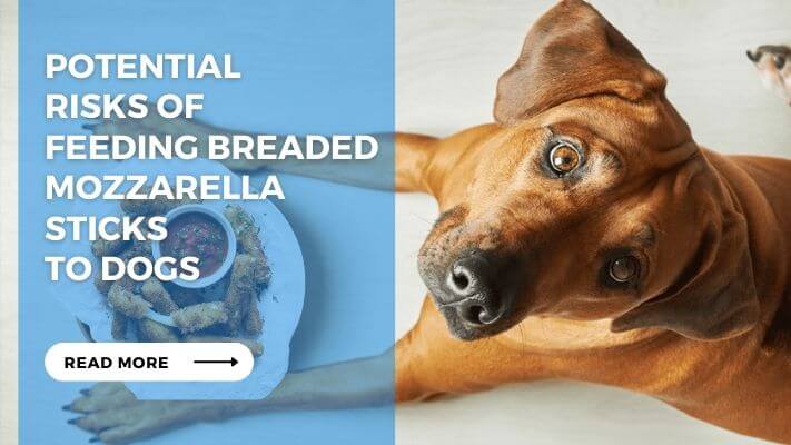 Potential Risks of Feeding Breaded Mozzarella Sticks to Dogs