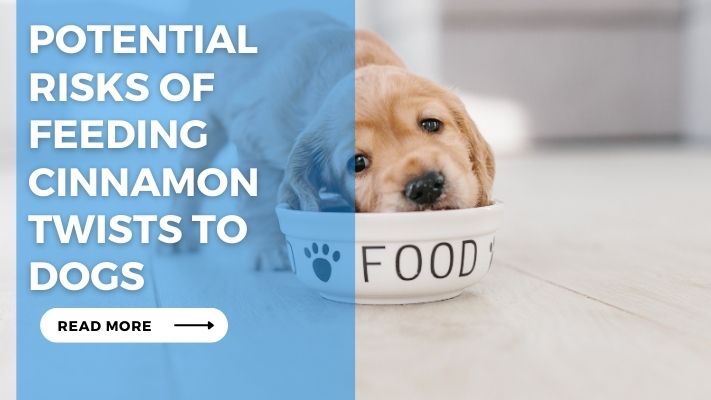 Potential Risks of Feeding Cinnamon Twists to Dogs