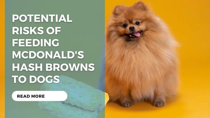 Potential Risks of Feeding McDonald's Hash Browns to Dogs