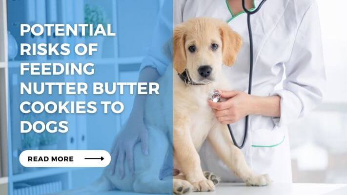 Potential Risks of Feeding Nutter Butter Cookies to Dogs